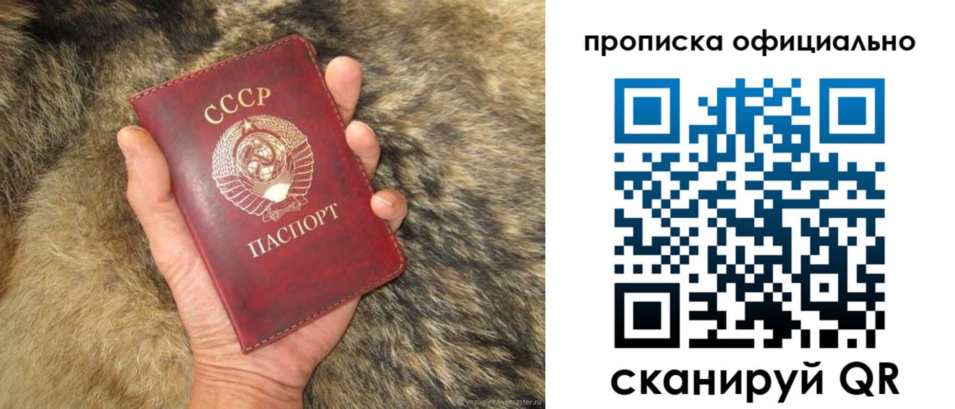 прописка паспорт в Кстово